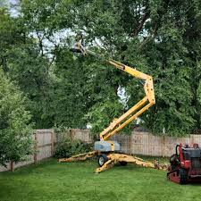 Best Seasonal Cleanup (Spring/Fall)  in Charleston, SC